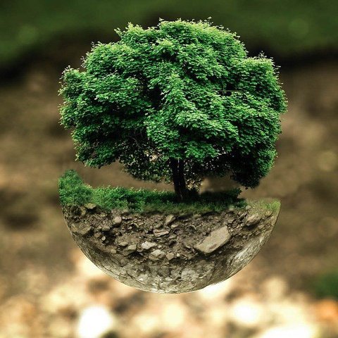 Sustainability Project