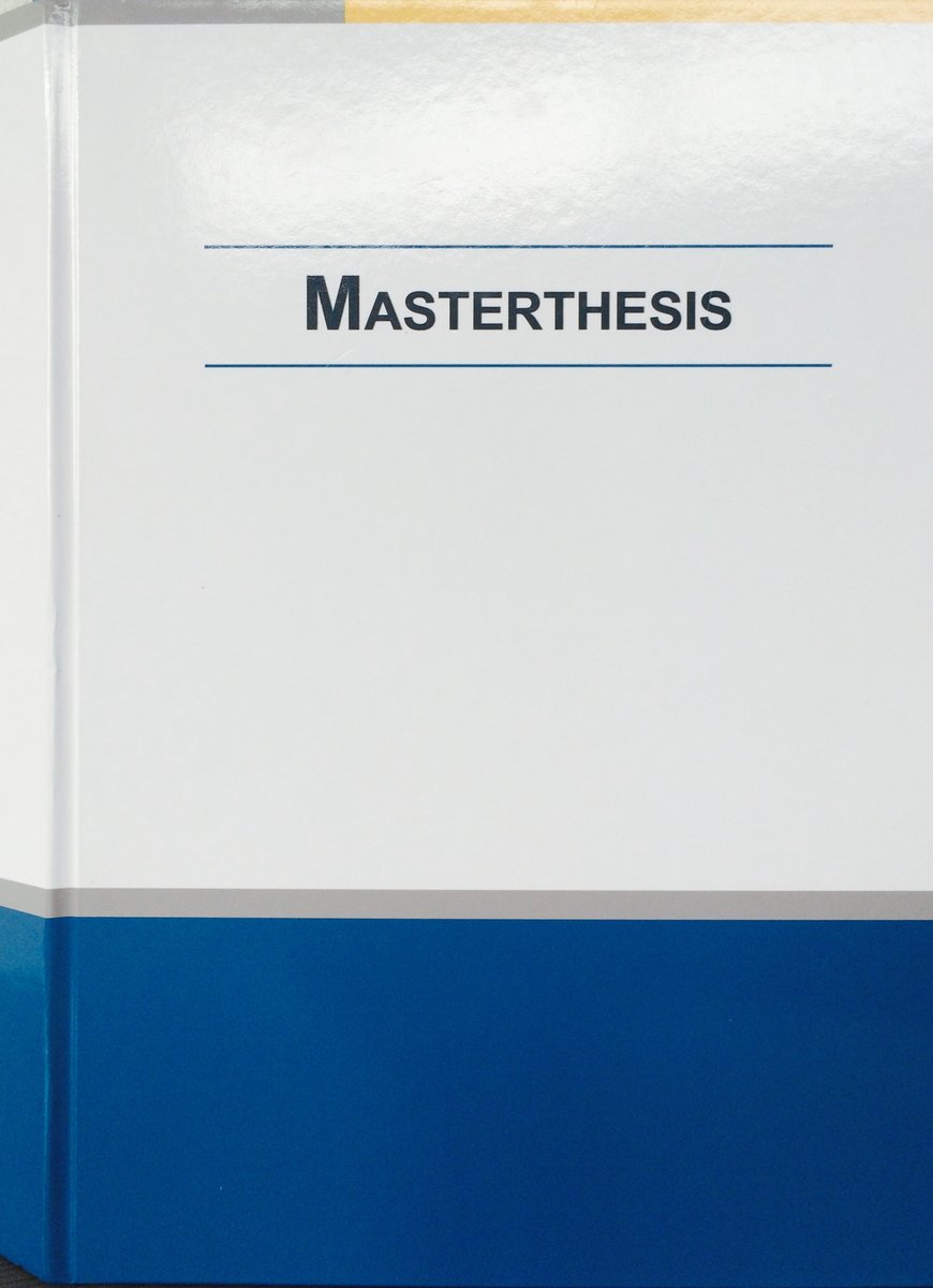 Employer Branding Masterthesis