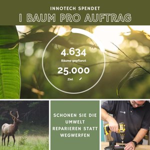 Innotech spendet weitere 609 Bäume im August