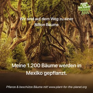 Spende Bäume Plant for the Planet Weihnachten 2023