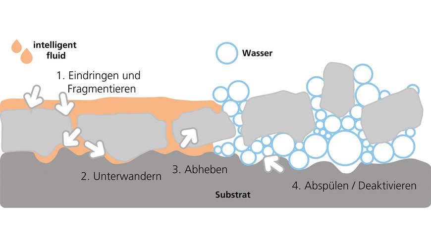 Wirkungsweise der Lift-off-Reinigungsprozesse (Quelle Biesterfeld)